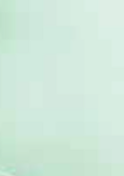 Capezio Asymmetrical Skirt MC822C