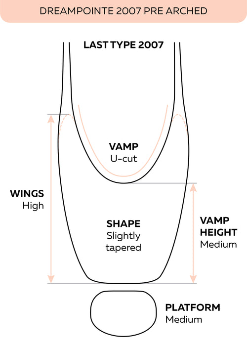 Grishko DreamPointe 2007 Pointe Shoe