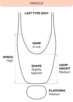 Grishko 2007 Pro-Flex Pointe Shoe