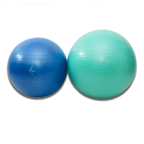 Tendu Stability Ball