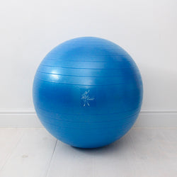 Tendu Stability Ball
