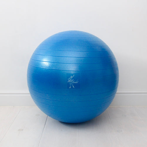 Tendu Stability Ball
